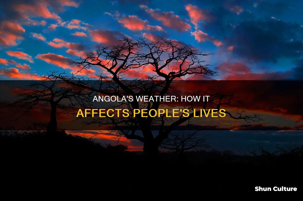 do these weather sifex people in angola