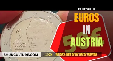 Traveling to Austria? Know About Using Euros