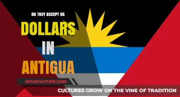 Traveling to Antigua: USD Acceptance and Currency Tips for Tourists