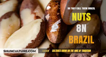 Brazil Nuts in Brazil: Uncovering the Surprising Local Name