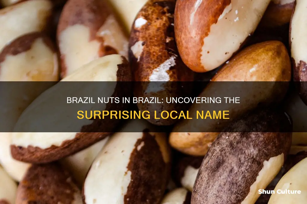 do they call them brazil nuts 8n brazil