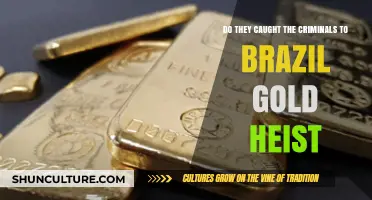 Brazil Gold Heist: Criminals Caught or Still on the Run?