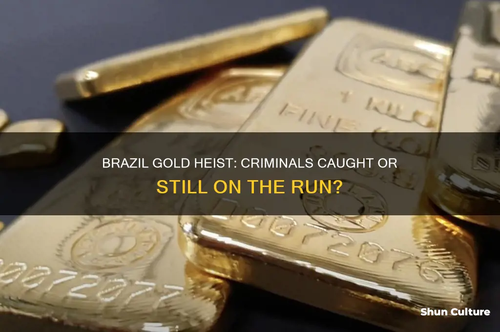 do they caught the criminals to brazil gold heist