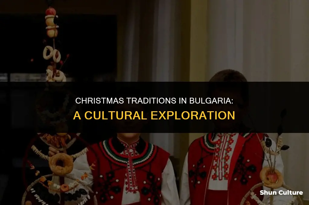 do they celebrate christmas in bulgaria
