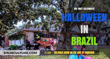 Halloween in Brazil: A Cultural Celebration or Foreign Tradition?