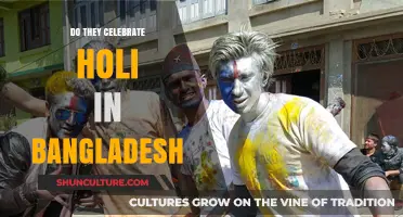 Holi in Bangladesh: Cultural Presence and Celebration Explored