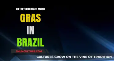 Mardi Gras in Brazil: Carnival Connections and Cultural Celebrations