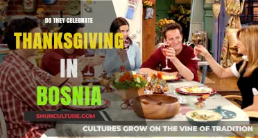 Thanksgiving in Bosnia: Exploring Cultural Traditions and Holiday Celebrations