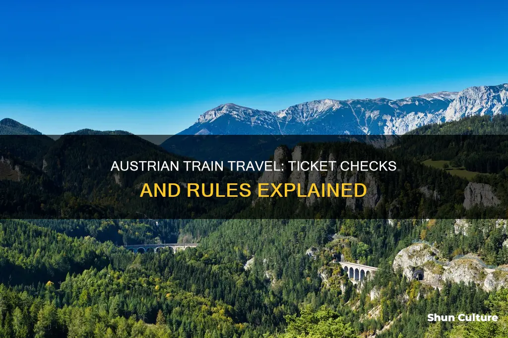 do they check train tickets in austria