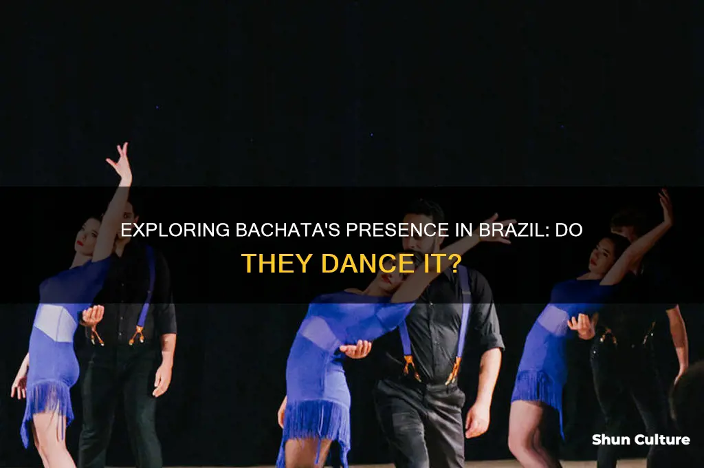 do they dance bachata brazil