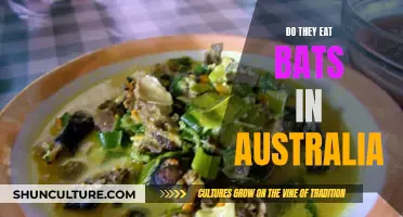 Bats in Australia: Culinary Delicacy or Urban Myth?