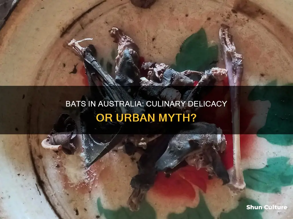do they eat bats in australia