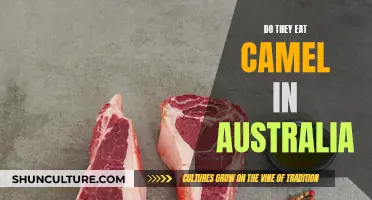 Camel Meat in Australia: A Culinary Adventure