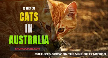 Cats in Australia: Are They Safe or Served?