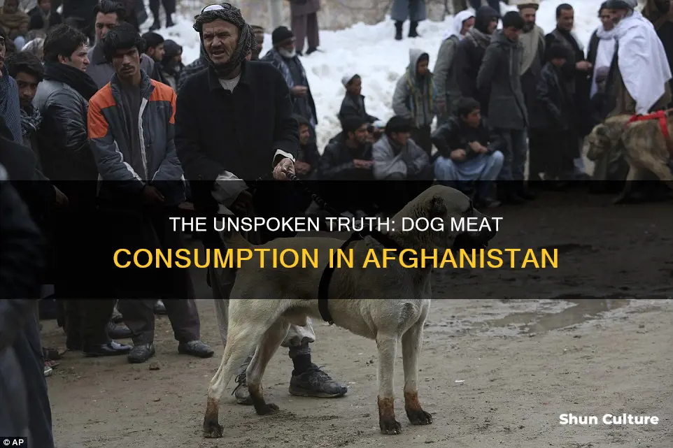 do they eat dogs in afghanistan