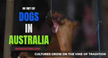 Australian Dog Meat Consumption: A Cultural Practice?