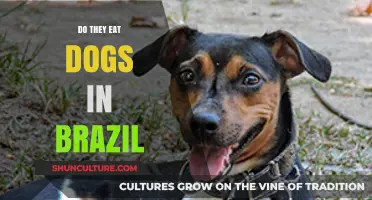 Exploring Brazilian Cuisine: Debunking the Myth of Dog Consumption