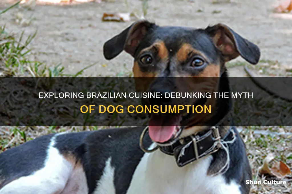 do they eat dogs in brazil