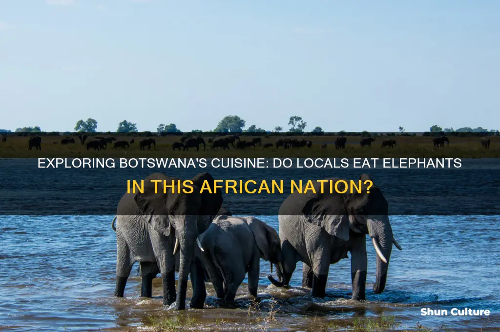 do they eat elephants in botswana