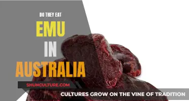 Emu Meat in Australia: A Culinary Adventure