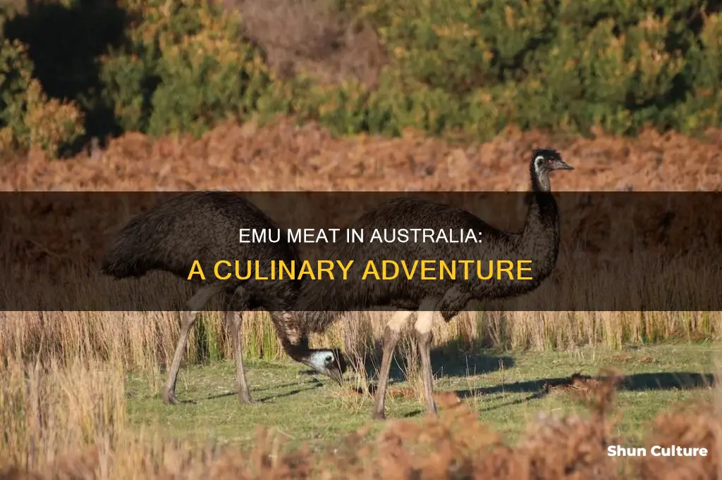 do they eat emu in australia