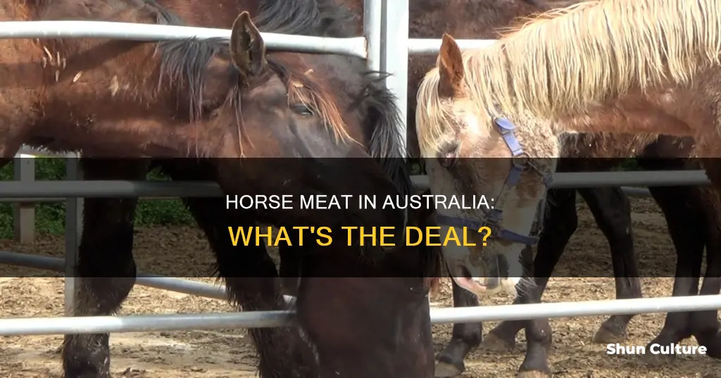 do they eat horse in australia