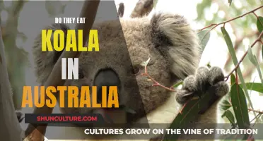 Koala Culinary Confusion: Australian Appetite for an Iconic Animal
