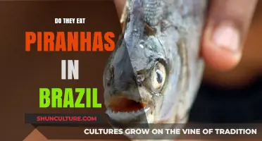 Exploring Brazil's Cuisine: Do Locals Really Eat Piranhas?