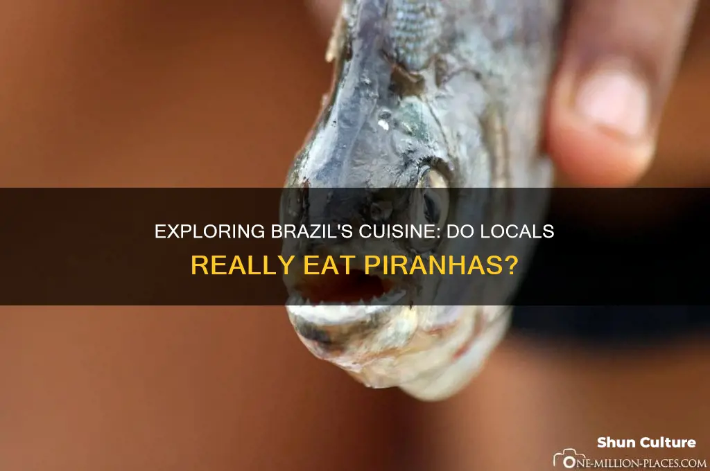 do they eat piranhas in brazil
