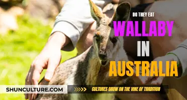 Wallaby Meat in Australia: A Culinary Adventure