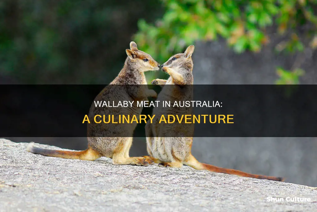 do they eat wallaby in australia