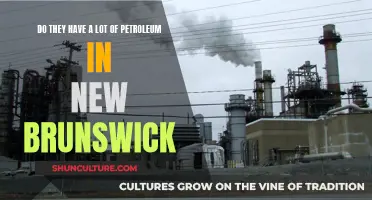 New Brunswick's Petroleum Potential