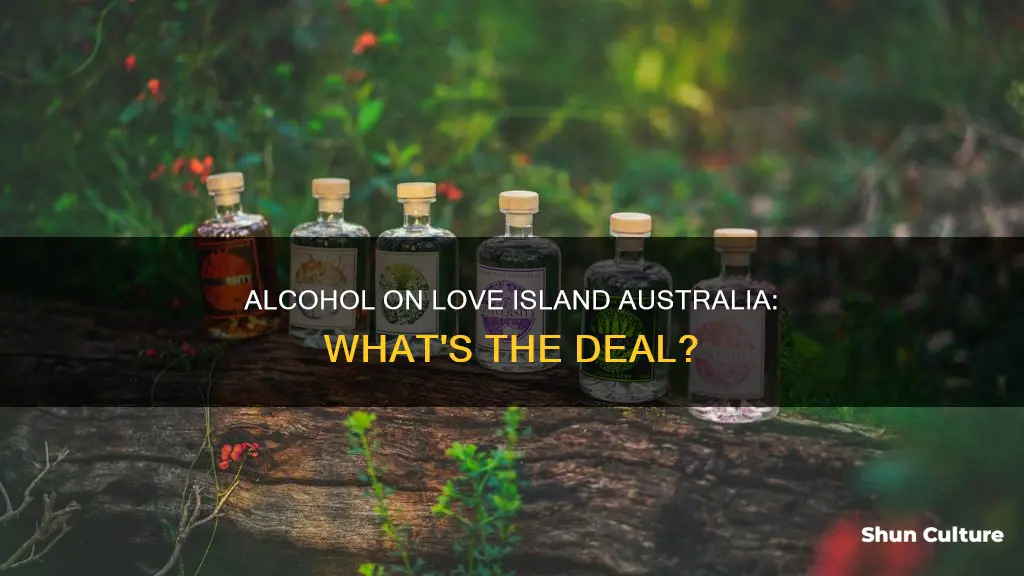 do they have alcohol on love island australia