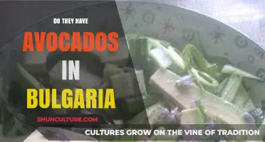 Exploring Bulgarian Cuisine: The Surprising Truth About Avocados