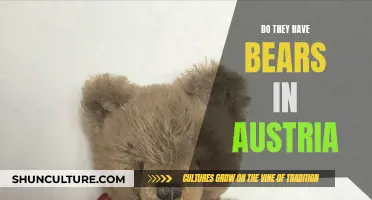 Bears in Austria: Are They There?