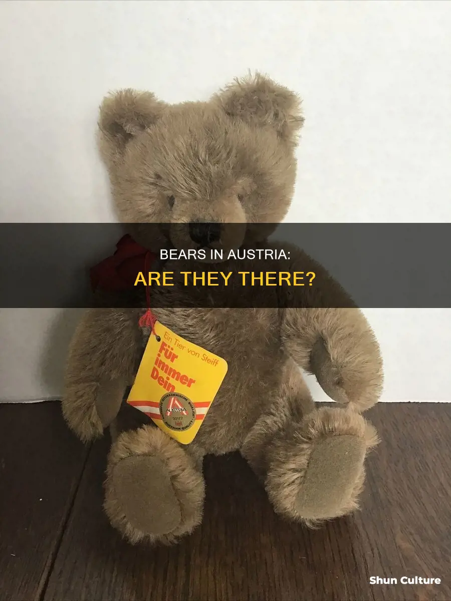 do they have bears in austria