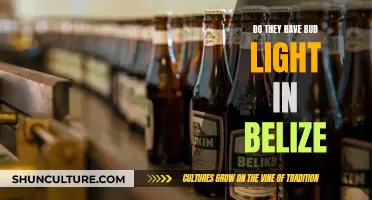 Belize's Beer Scene: Bud Light's Availability and Alternatives