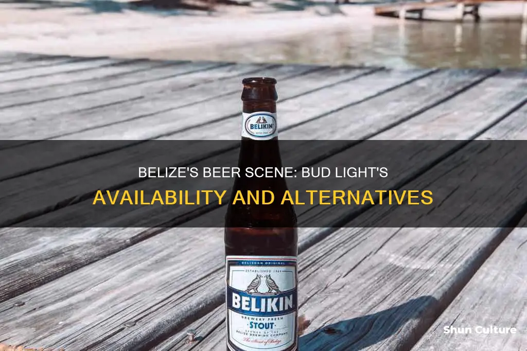 do they have bud light in belize