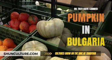 Exploring Bulgarian Supermarkets: The Quest for Canned Pumpkin
