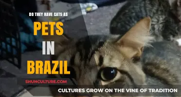 Cats in Brazil: Are Felines Popular Pets in Brazilian Homes?