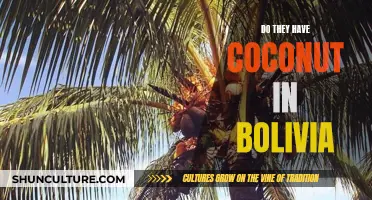 Coconut Availability in Bolivia: A Tropical Treat?