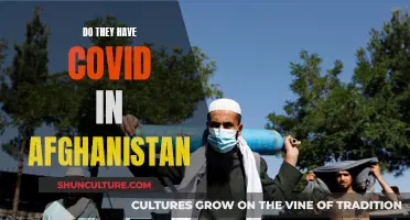 The Shadow Pandemic: COVID-19's Impact on Afghanistan