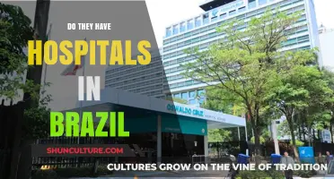 Exploring Brazil's Healthcare System: Do They Have Hospitals?