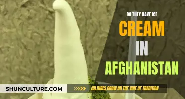 The Sweet Taste of Afghanistan: A Look at the Country's Ice Cream Culture