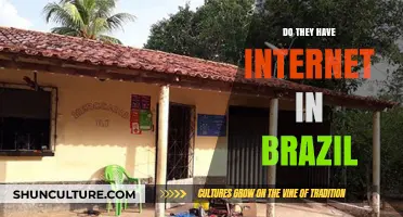 Exploring Brazil's Internet Access: Connectivity, Availability, and Digital Landscape