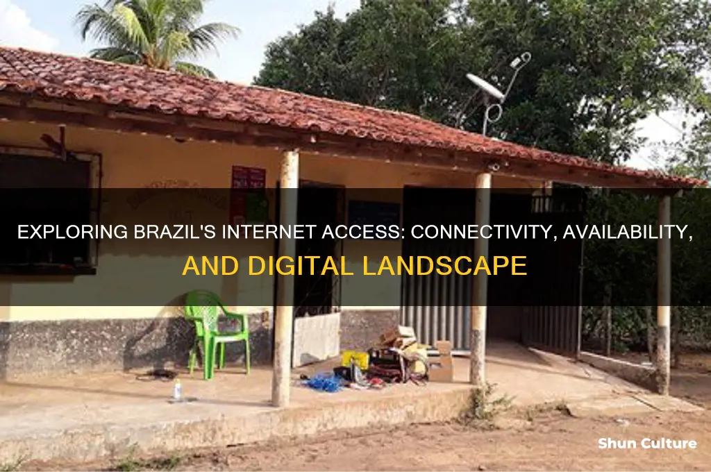 do they have internet in brazil