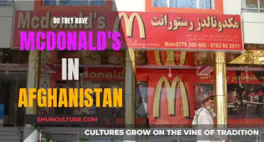 McDonald's in Afghanistan: A Tasty Tale of Two Countries