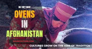 Ovens in Afghanistan: Uncovering the Presence of Modern Conveniences in a Traditional Culture