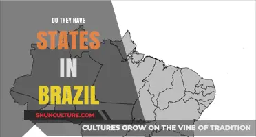 Exploring Brazil's Administrative Divisions: States, Regions, and Governance Explained