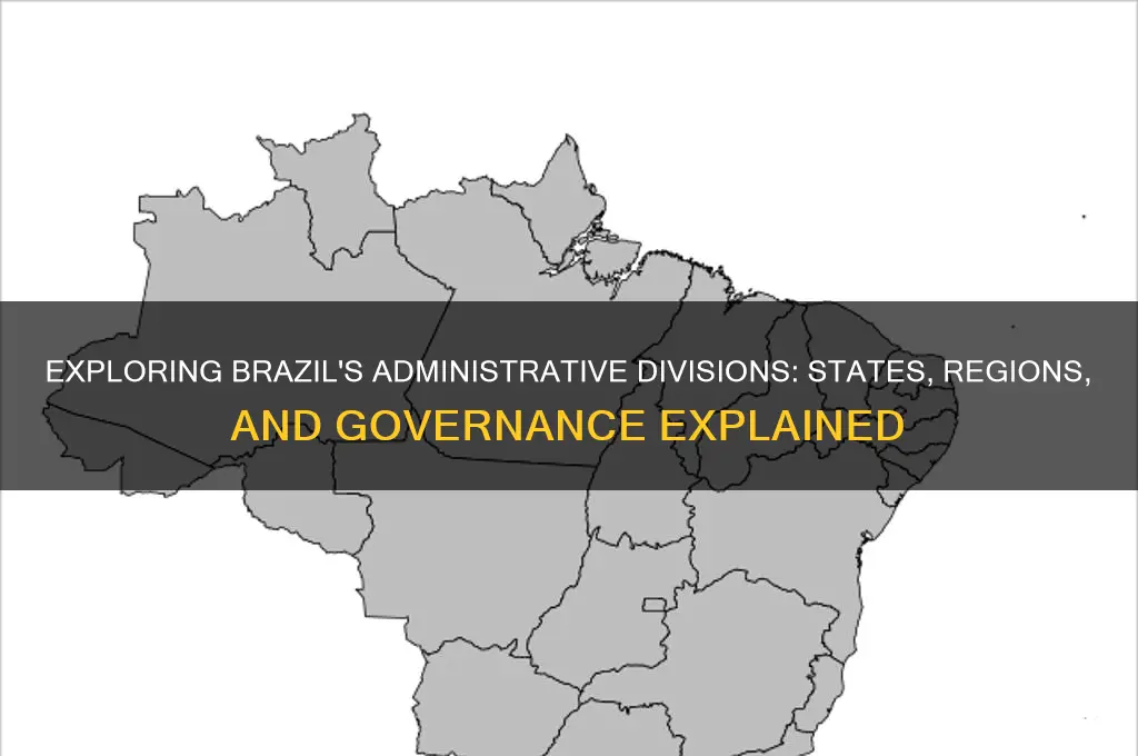 do they have states in brazil